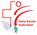 Logo-Aktuell-SKF.png