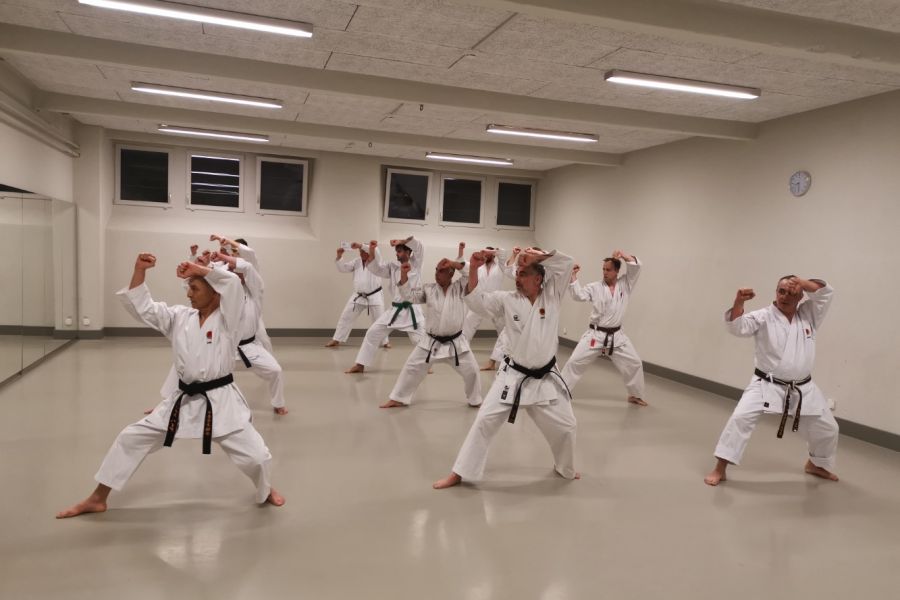 Shotokan Karateschule Arbon