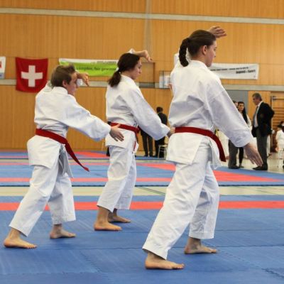 Thurgauer-Karatemeisterschaft-2013-154-.jpg