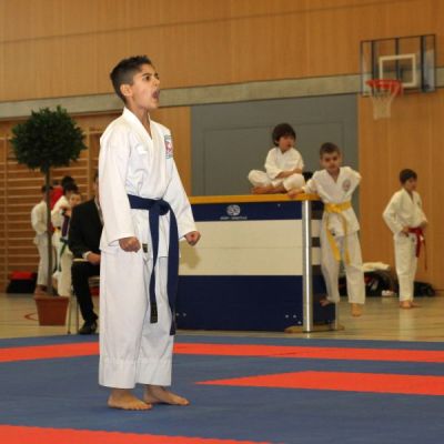 Karatemeisterschaft-2014-18-.jpg
