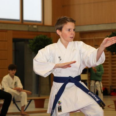 Karatemeisterschaft-2014-8-.jpg