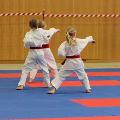 Karatemeisterschaft-2014-125-.jpg