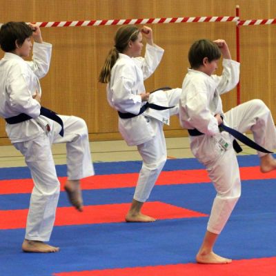 Karatemeisterschaft-2014-134-.jpg