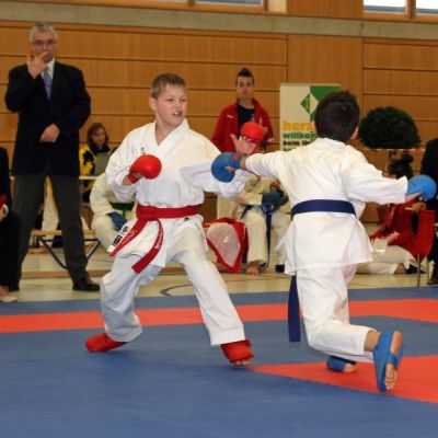 Karatemeisterschaft-2014-161-.jpg