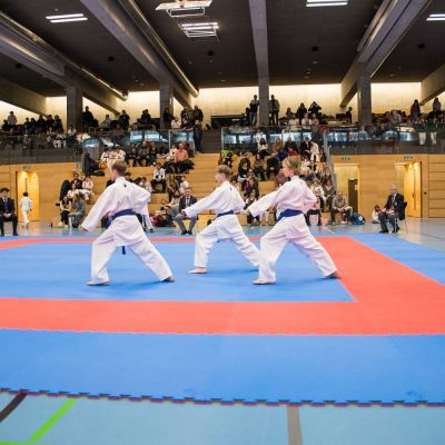 DSC_0282 - Kopie - Kopie - Kopie.jpg