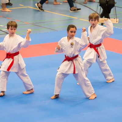 DSC_0324 - Kopie - Kopie - Kopie.jpg