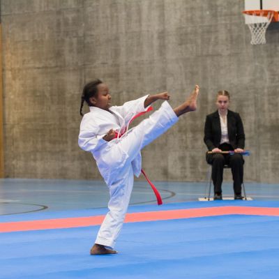 DSC_0106 - Kopie - Kopie - Kopie.jpg